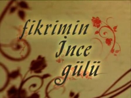 Fikrimin İnce Gülü
